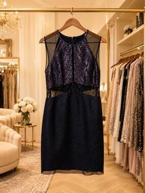 Phoebe Blue Pink Metallic Dress Size 8 Sleeveless Sheer Cutout Cocktail Dress